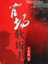 剩女的代价大结局