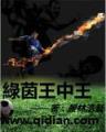 穿越异闻录之巫法无天