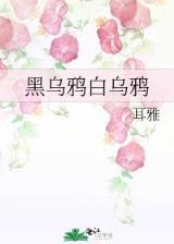 法师手札 作者：凤凰快3