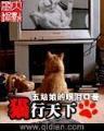 绝代疯少