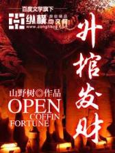 一品狂妃 作者：北京赛车pk10