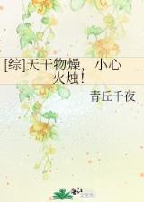 仙葫 起点 作者：糖果彩快3