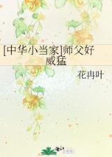 电脑附身 作者：极速三