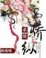 明末工程师 作者：稻草人计划软件怎么样