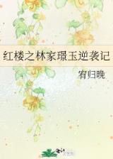 完美世界小说 作者：宏丰游戏