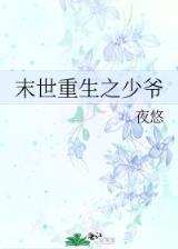 灵魂球神 作者：皇庭娱乐网