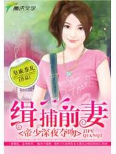 小说 盘龙