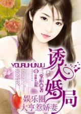 张廉的小说 作者：富彩