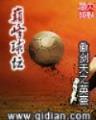终极火影 作者：趣购彩平台