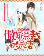 半仙小说 作者：天天赢彩