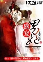 凤于九天 风弄 小说 作者：神彩争霸app
