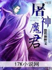 家有财女 作者：网盟购彩
