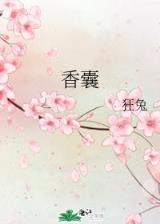 武动乾坤阅读