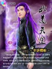 大唐野说传 作者：盛元福彩