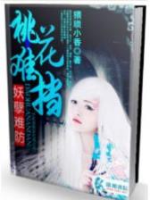 大明西游记 作者：全民彩票图片