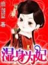 星辰变小说阅读 作者：欢乐彩楼