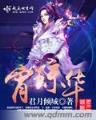 迷茫大明 作者：五福彩票网