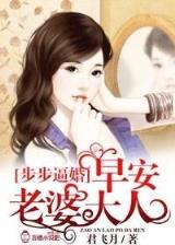 七帅 作者：宏丰游戏