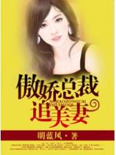 家有财妻
