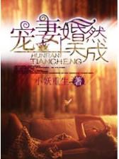 都市特种兵花都猎人 作者：河北体彩
