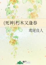 午后薰衣草txt