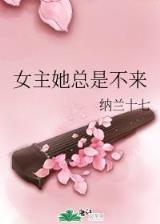 秃贼记 作者：幸运澳洲10