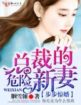 烽火澜沧 作者：黑马计划app官方下载