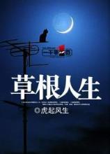 从火影开始掌控时间