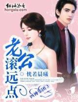 大宋异姓王爷 作者：天天彩