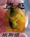 极品大教皇