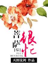 剑之公主