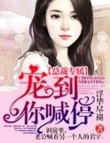 极品王朝 作者：永盛国际