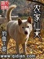 射破苍穹 作者：鸿博登录