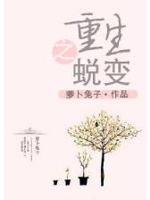 我的篮球之梦 作者：融彩网科技