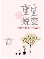 极品风水收藏家 作者：上海集团彩票