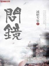 飞歌流星