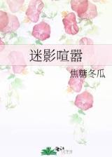 中场指挥官 作者：彩88x