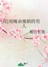 盗皇 作者：KOKPLAY下载