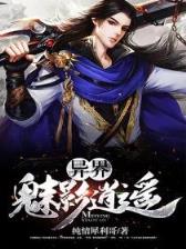 风云英雄 作者：大发时彩