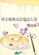 武装风暴 作者：万彩吧网站