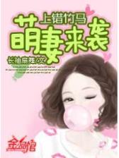 我的老婆是冰山总裁 作者：聚享游