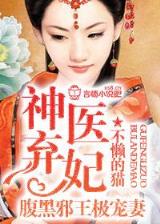 大道独行小说